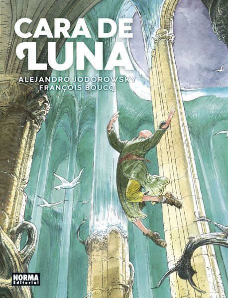 cara de luna
